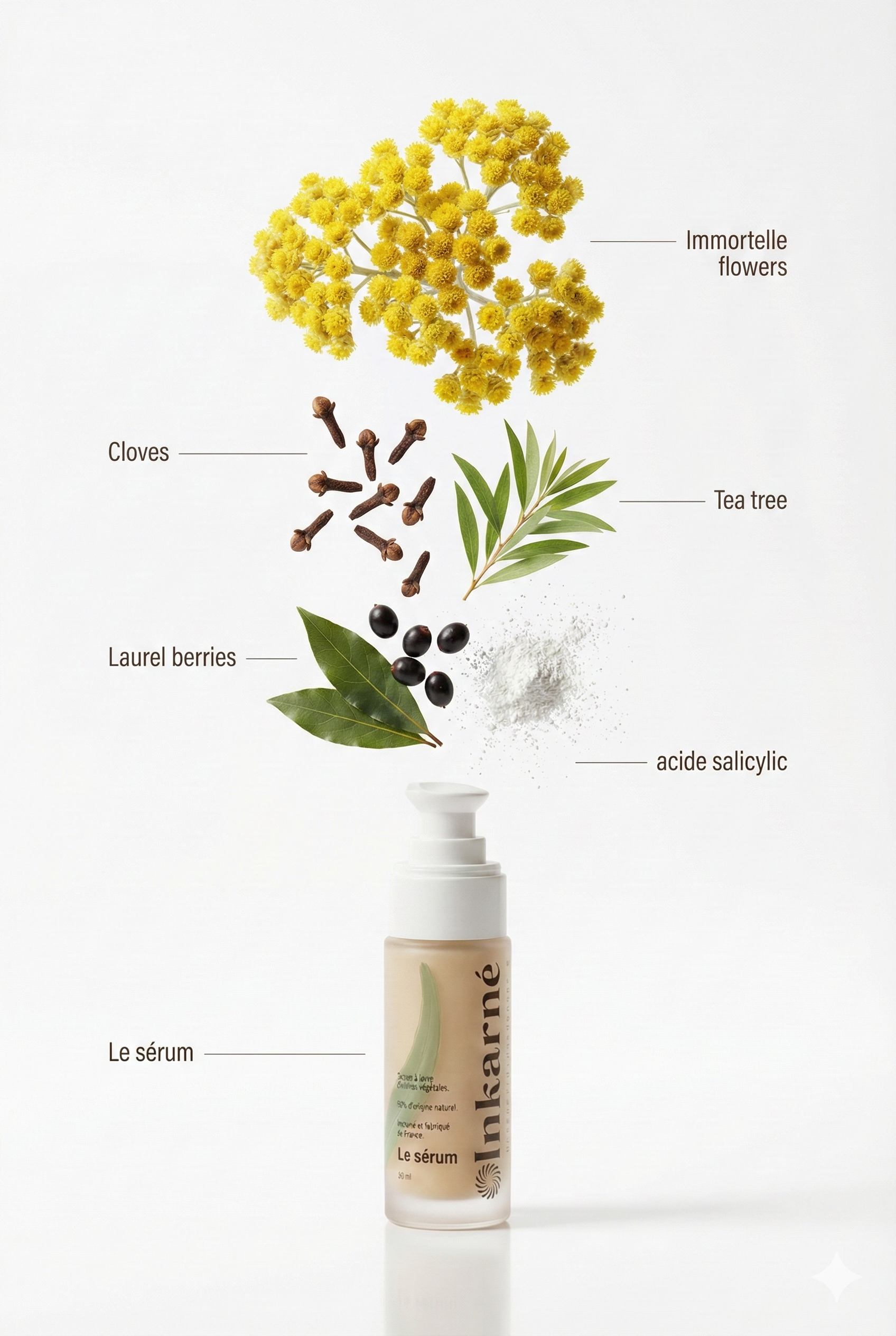 Les ingrédients phares d'Inkarné